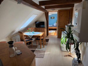 Schöne Ferienwohnung im Erholungsort Sternberg, Sternberg